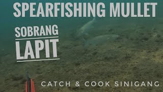 HOW I HUNT MULLET/BANAK || CATCH & COOK SINIGANG || SPEARGUN FOR SALE ||  SPEARFISHING PHILIPPINES screenshot 5