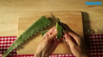 Mẹo vặt: Tạm biệt nỗi lo rụng tóc vào mùa thu