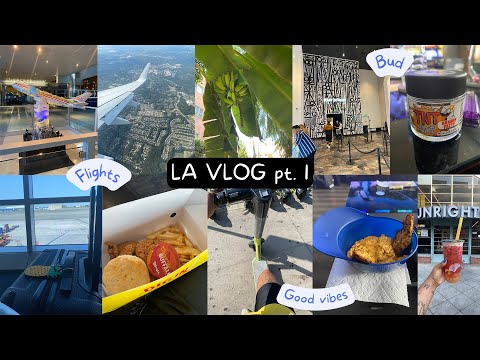 Flights + Smoke Sesh + Good Vibes | LA VLOG! PT.1