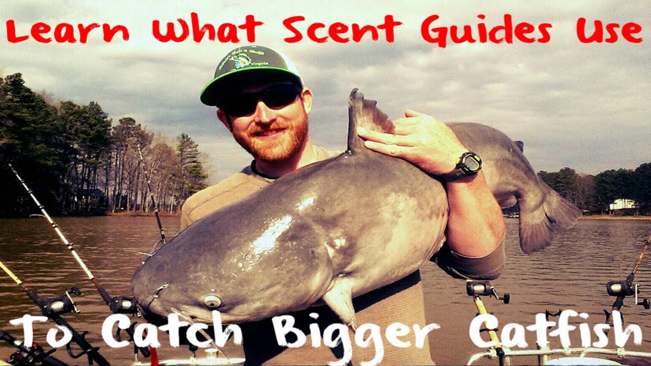 Learn What Scent Guides Use to Catch More Catfish: Catfish Nectar 