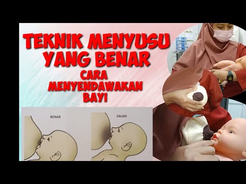 Teknik Menyusu Yang benar,  Cara menyendawakan Bayi, Perlekatan yang benar