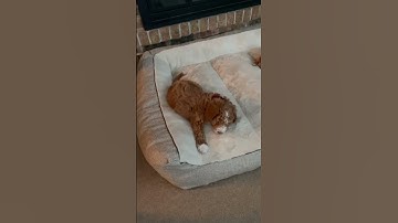 Random video from my camera roll part 2