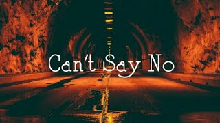 Cant Say No Akon  Lyrical Video🎼Lyrics of Cant Say No by Akon 🎼Akon Cant Say No Lyrical Video