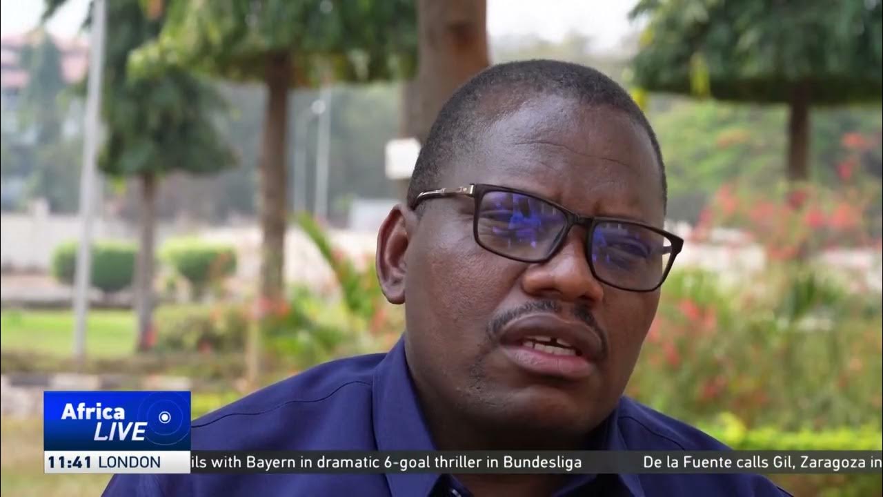 Burundian farmers urged to switch to avocado farming