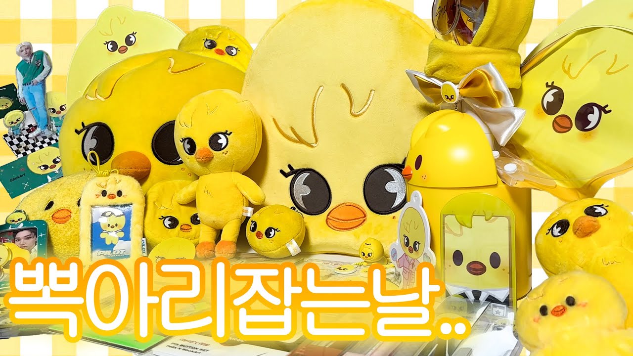 뽁아리(41마리) 트레이너의 길.. | 3년 모은 뽁아리 소개 | SKZOO | 스트레이키즈 돔투어 엠디깡 (스테이 브이로그..?)