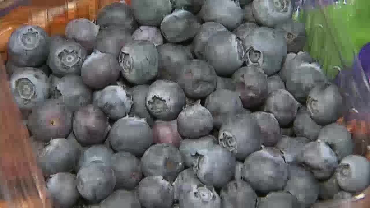 Arnaud's Breast of Duck Ellen with a blueberry-infused port wine sauce