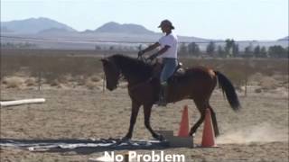 Obstacle Course