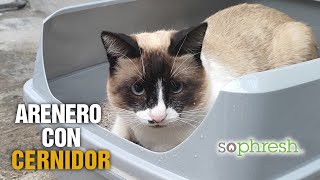 Arenero Cernidor Sophresh para Gato | PETCO