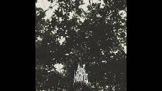 Along Memories - From Crying Eyes