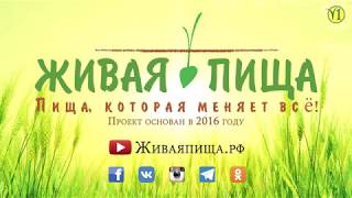 Главное о проекте Живая Пища за 3 минуты. (Видео 144)