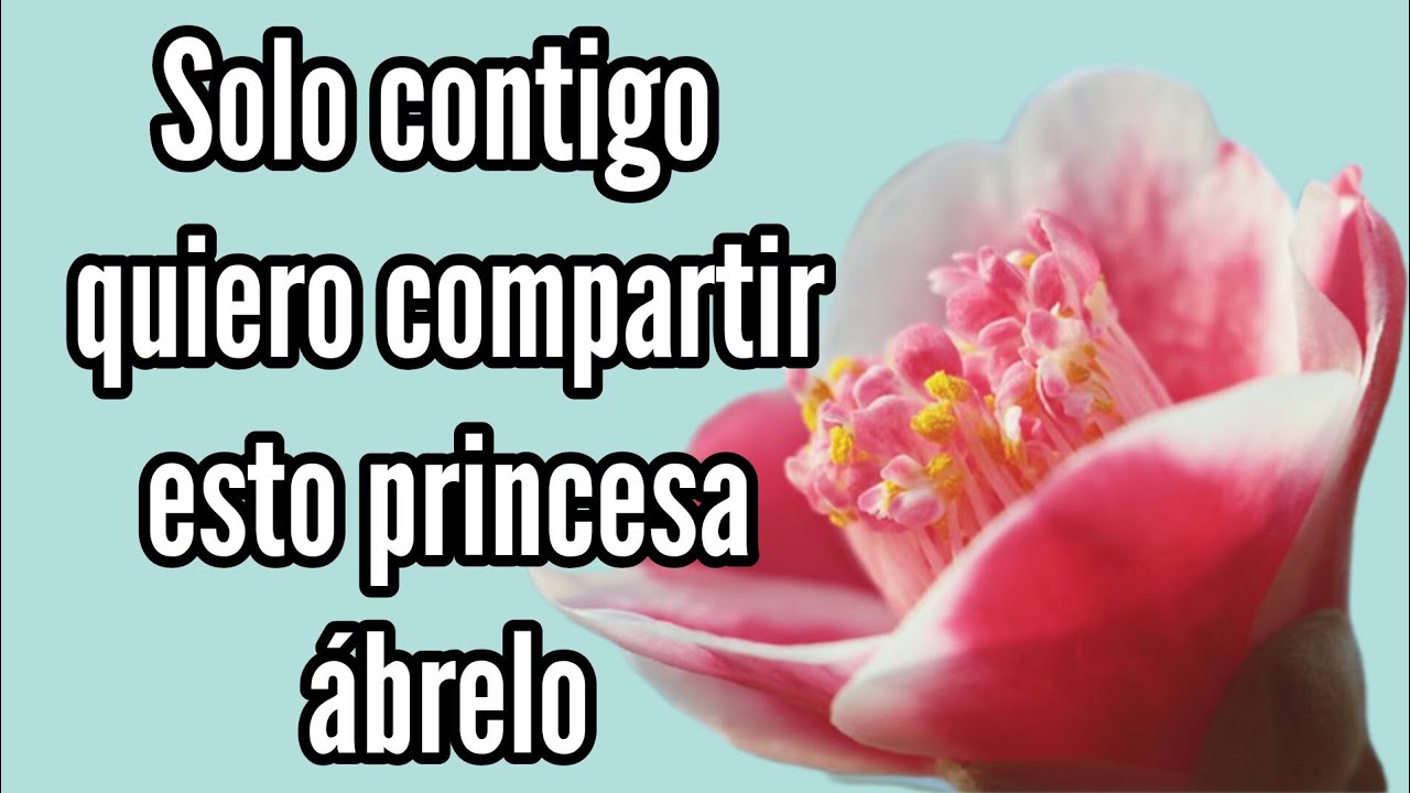 Solo contigo quiero compartir esto princesa ábrelo