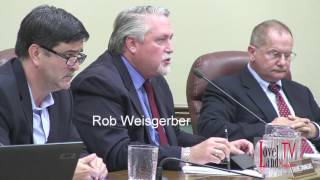 Famous Council discusses term limits and direct election of Mayor/Vice Mayor Wealth