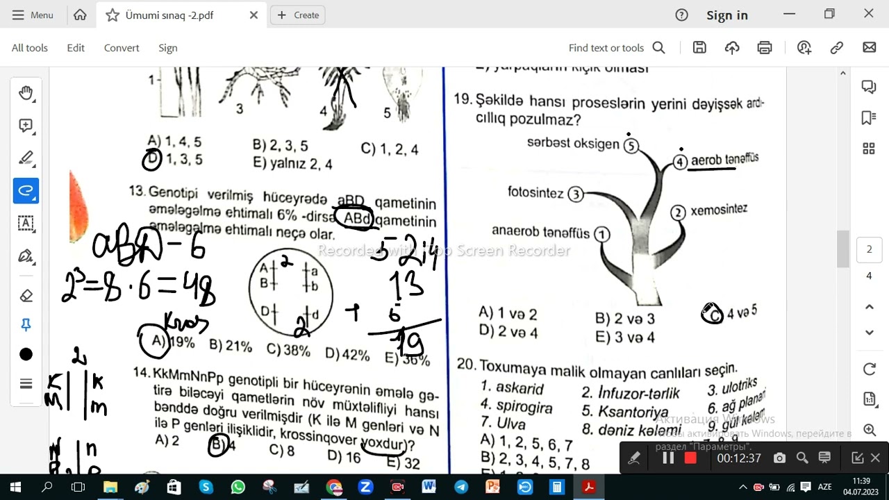TAİM Ümumi sınaq   2
