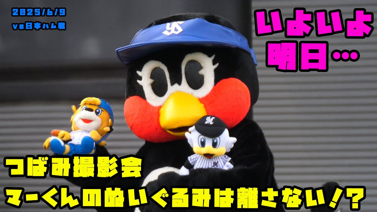 つばみ撮影会　マーくんのぬいぐるみは離さない！？　2025/6/9 vs日本ハム