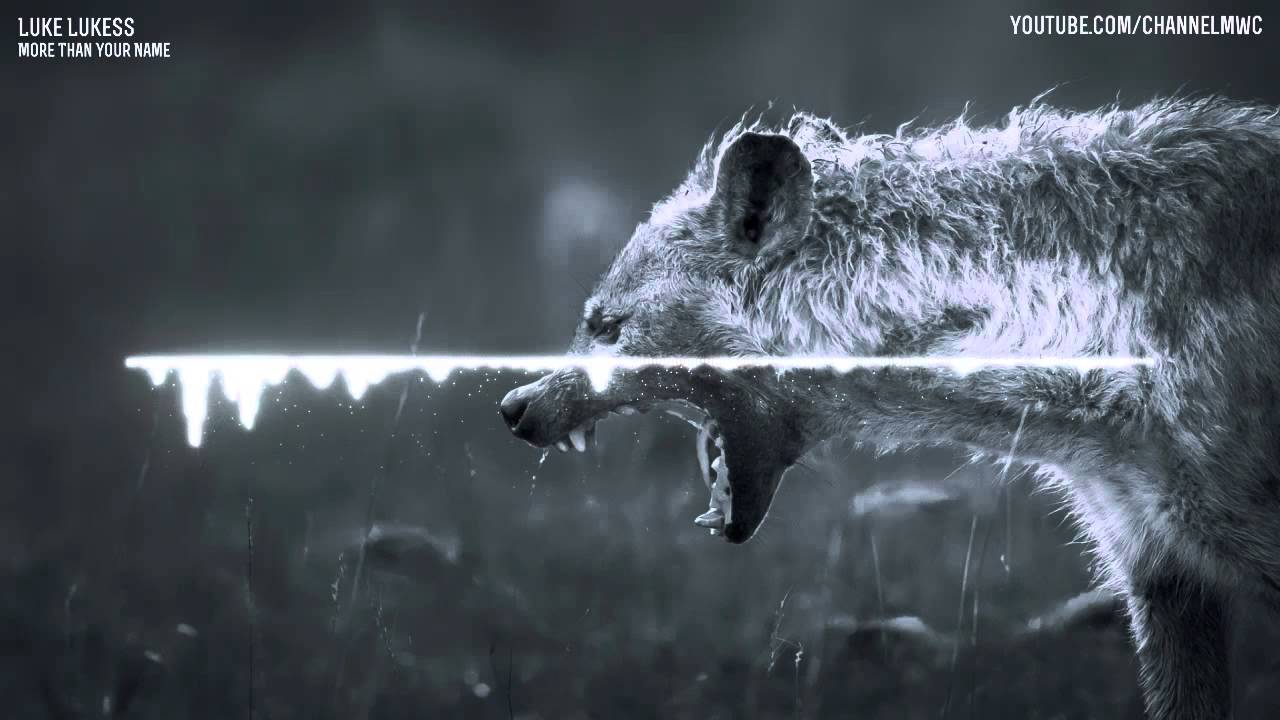 Luke Lukess - More Than Your Name