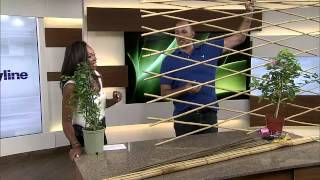 DIY Trellis Carson Arthur shows a simple DIY for a backyard trellis. Subscribe to Cityline on YouTube - https://goo.gl/AI9BNO Follow Cityline ...