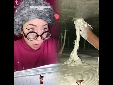 💕24-Hour Challenge with Shayvise! The Ending Broke the Internet! 💥【Vlog】😱