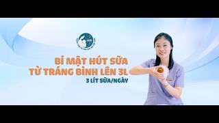 4 Bước Kích Sữa Hiệu Quả Cùng LCC