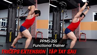 PPMS 255 Triceps Extention - Tập Tay Sau - Hướng Dẫn Tập Functional