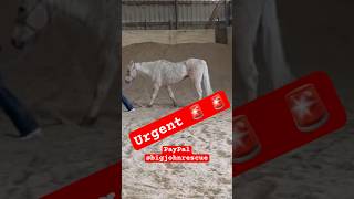 Kill pen rescue #love #rescue ue