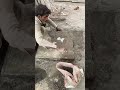 Old-World Skill: Cement Tile Art in Pakistan #multiskillshub #cementart #shorts  #diy #viralshort