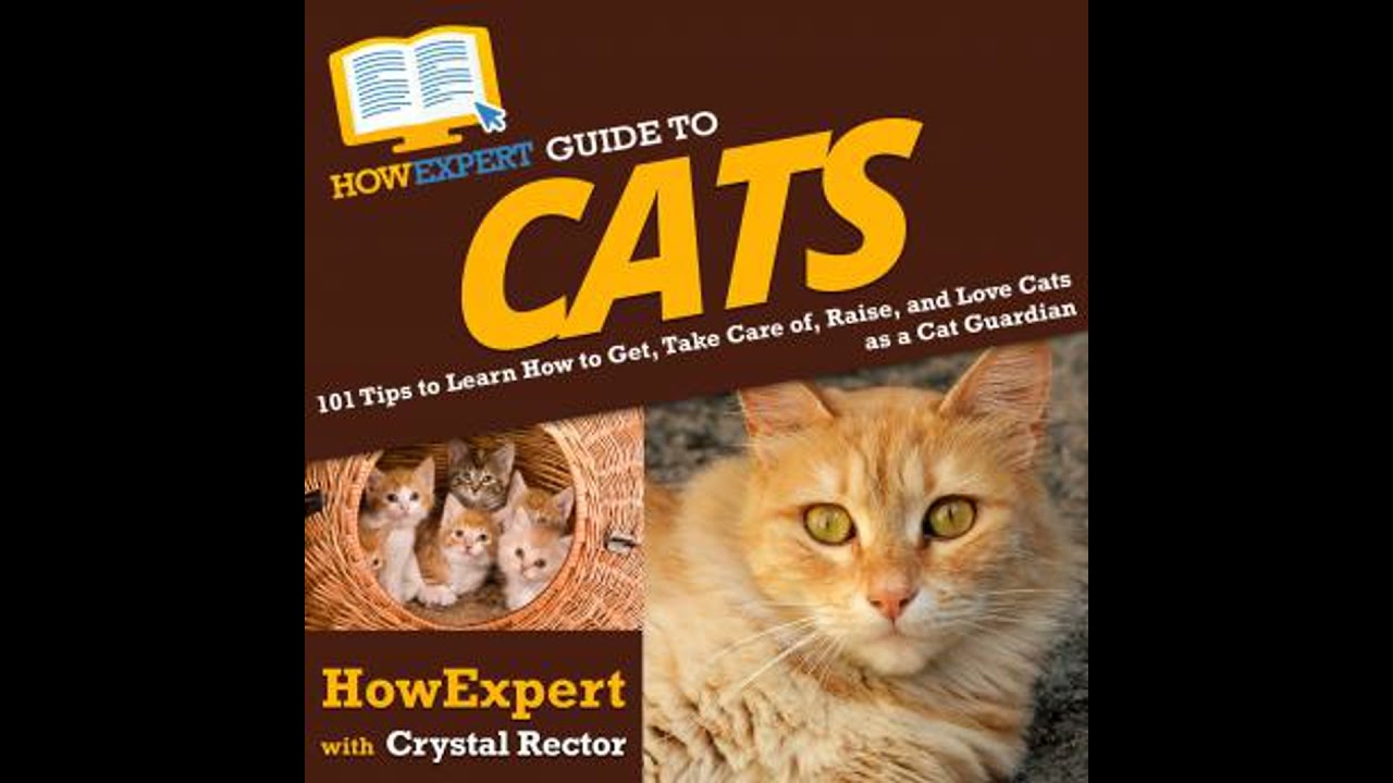 HowExpert Guide to Cats: 101 Tips to Learn How to Get, Take Care of, Raise, and Love Cats as a Cat