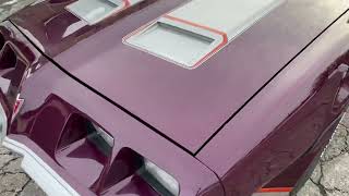 Beautiful 1981 Pontiac Firebird Formula Walk Around
