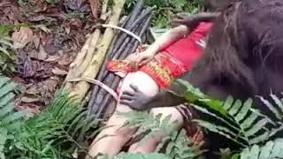 Penampakan montser hutan yang membawa gadis cantik