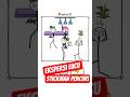 Stickman Kembali Beraksi #bangtomatgaming #stickman #shorts
