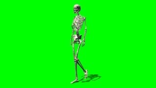 Skeleton walk on green screen - free green screen - free use