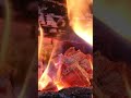 BEAUTIFUL Glowing Embers and Flames Macro Shot with Crackling Fire Real Time 4k #Shorts video Clip