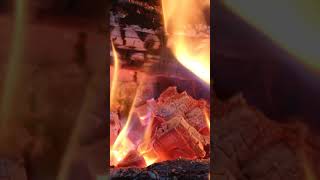 BEAUTIFUL Glowing Embers and Flames Macro Shot with Crackling Fire Real Time 4k #Shorts video Clip