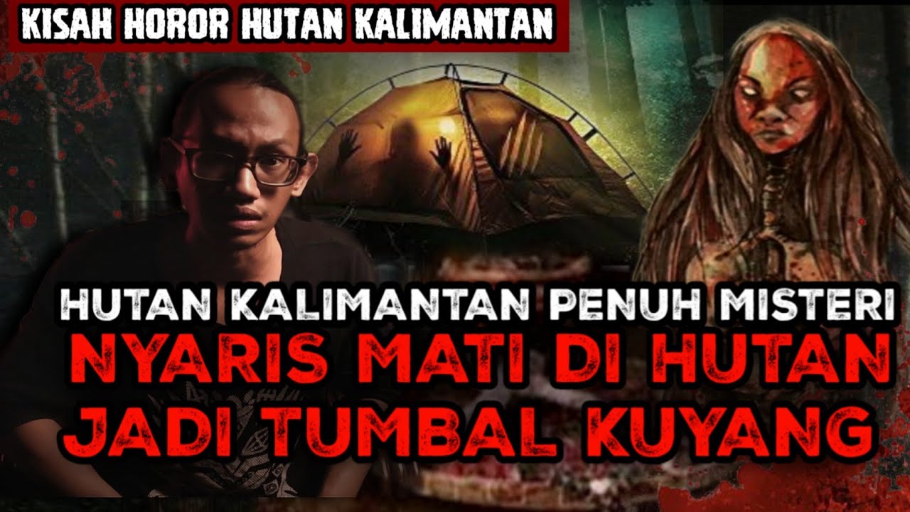 NGERI!! MESTI BERHATI-HATI JIKA MEMASUKI HUTAN DI SANA