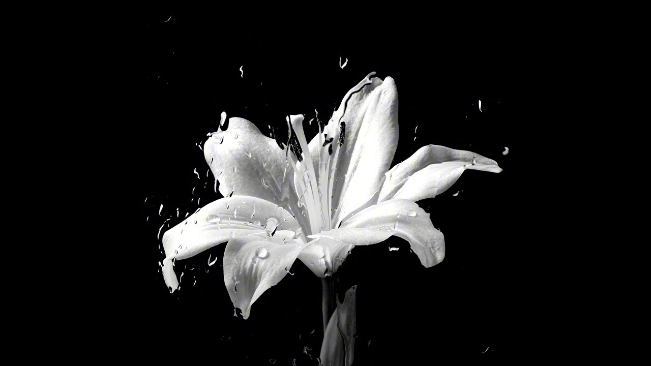 FORTUNA812 + 9mice + JERK type beat