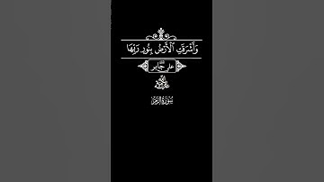 و أشرقت الأرض بنور ربها،القارىء علي جابر #تلاوة_خاشعة #كرومات #قرآن #quran #سورة_الزمر