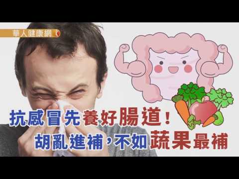 【華人健康網】健康小學堂 - 抗感冒先養好腸道！胡亂進補，不如蔬果最補