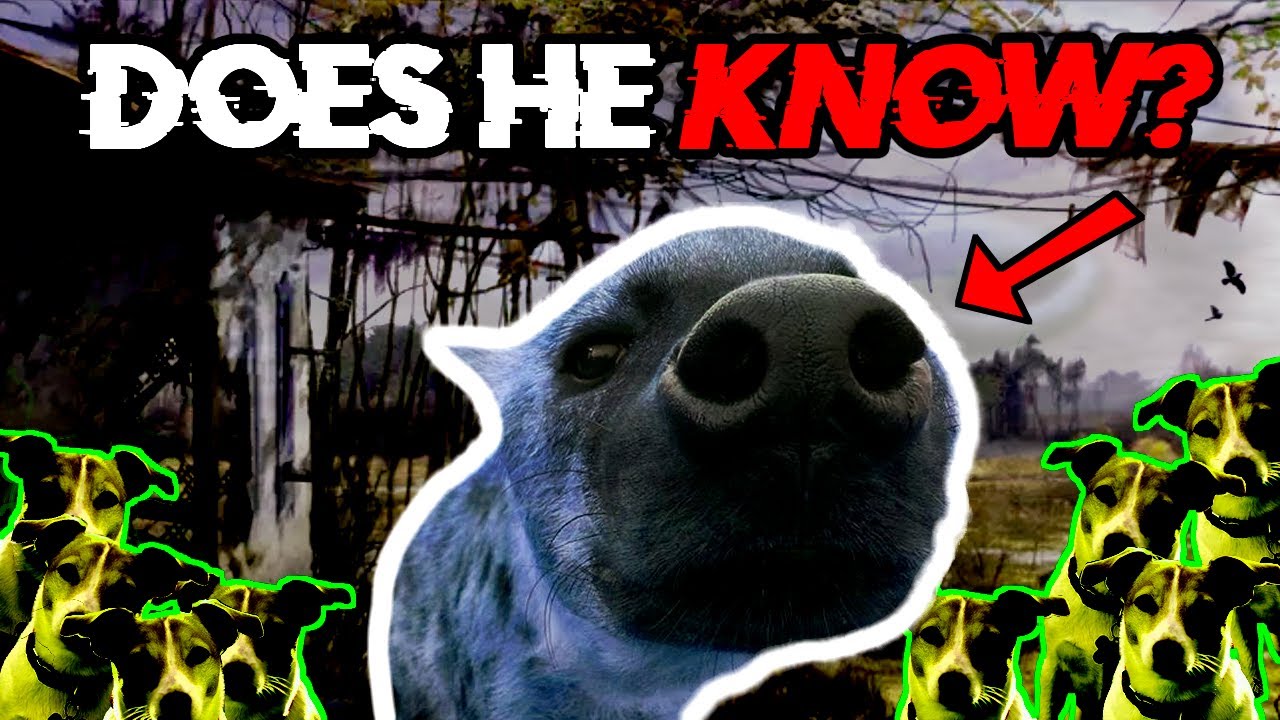 There's HOW many mutant dogs? | STALKER 2 Veteran Difficulty Immersive Longplay #1