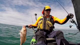 Scallop Diving And Chasing Spring Snapper Work Ups - RSK Ep 2