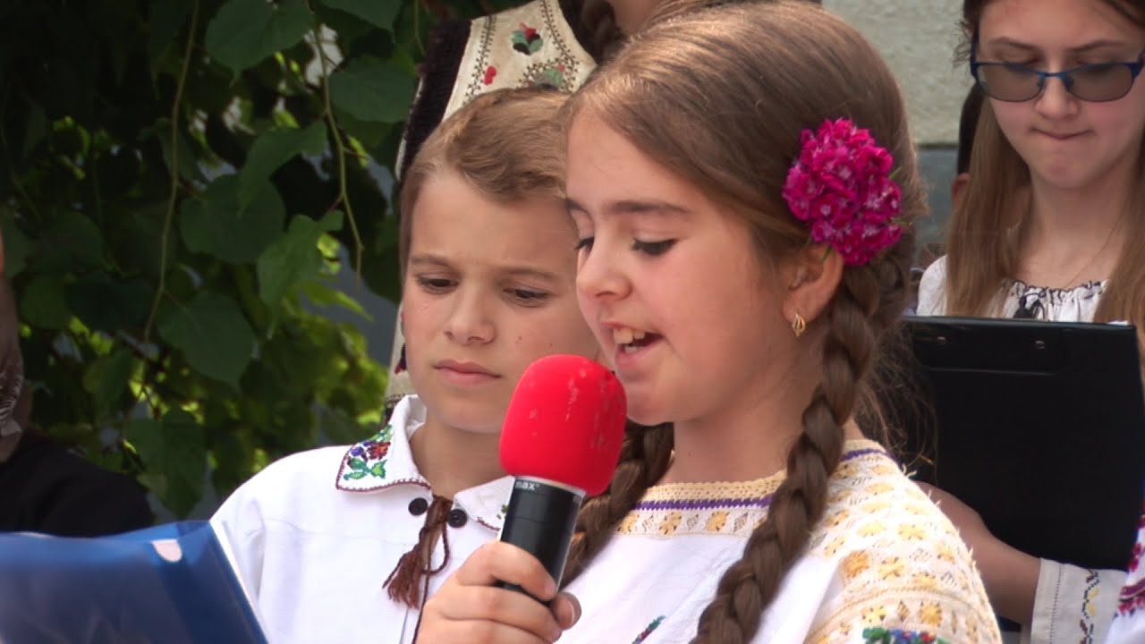 Radaseni 2016 - secvente de la Ziua Eroilor