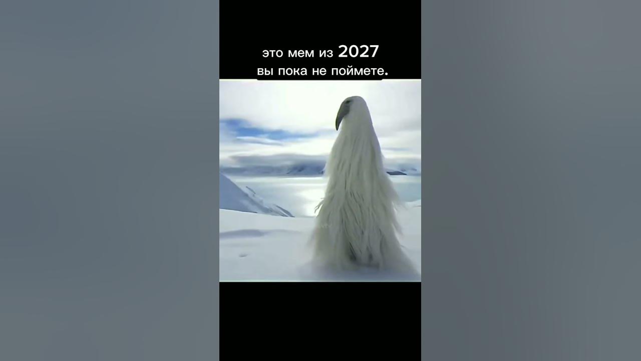 Мем 2027 года белая