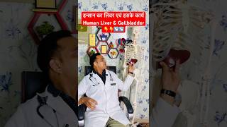 इन्सान का लिवर कैसा और कहाँ होता है एवं इसके कार्य | Human Liver & Gallbladder