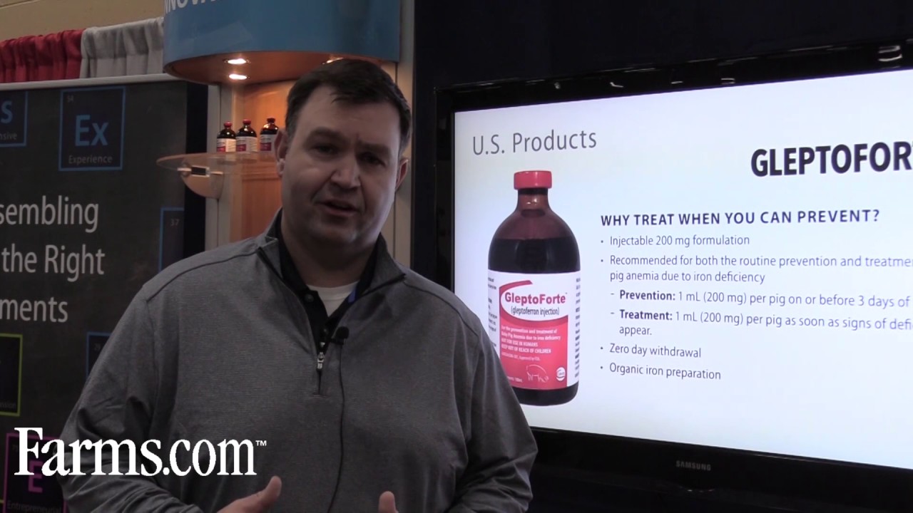 A new solution for iron deficiency in baby piglets