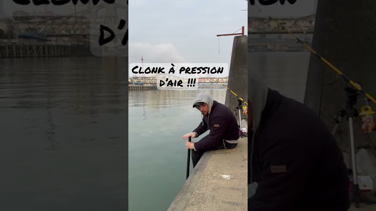 pêche silure seine Silures siluro Fishing pesca clonk