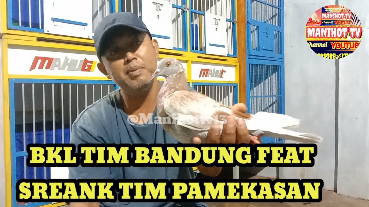 Обзор игроков BKL Bandung и SREANK Pamekasan Racing Pigeon Players