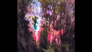 1200 Micrograms - LSD - Video Dailymotion.mpg videos  de RITA