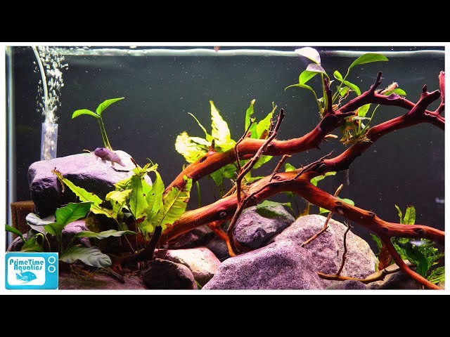 2 fish net Aquarium Co-Op Fish Net