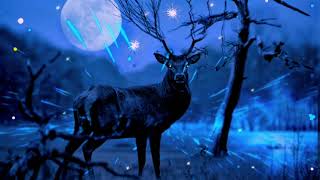 Relaxing Music. Enchanting Forest and Mystical Deer