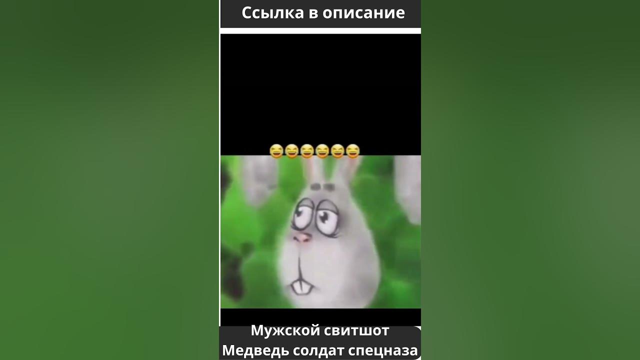 Медведь, заяц и вертолёт. #shorts - YouTube
