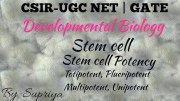 Stem cell developmental biology | stem cell potency |