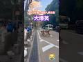 ユーニクな鹿に外国人観光客🦌大爆笑🤣NARA PARK